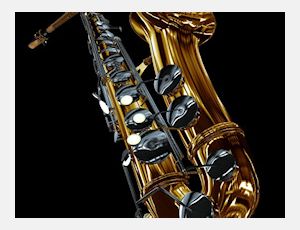 Saxophobia - Fanfare Band