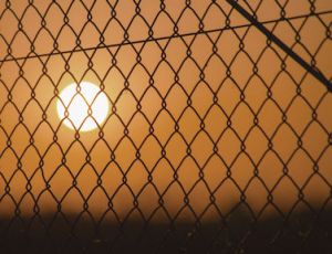In the Cage - Fanfare Band