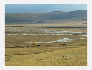 In the Steppes of Central Asia - Wind Band