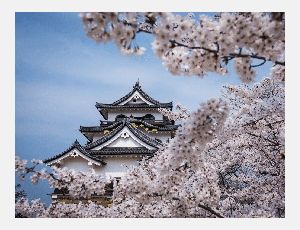 Precious… - Wind Band
