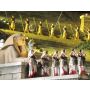 Aida: Finale from Act 2 - Fanfare Band
