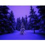 Christmas Snippets - Fanfare Band
