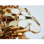 El Artiste Saxofonico for Sax alto and Piano