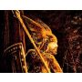 Hagen's Wacht - Fanfare Band