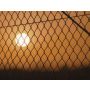In the Cage - Fanfare Band