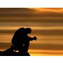 Solitary Prayer for Euphonium and Piano
