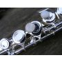 Concerto for Flute and Band - Wind Band