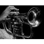 Concerto per Corno Primo - Wind Band