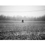 De eenzame Fietser - Wind Band