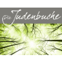 Die Judenbuche - Wind Band
