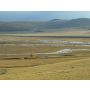 In the Steppes of Central Asia - Wind Band
