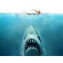 Jaws - Fanfare Band