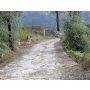 La Strada Romana - Wind Band