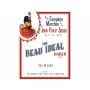 The Beau Ideal - Fanfare Band