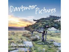 Dartmoor Pictures - CD