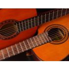 Concerto for Two (amplified) Guitars and Wind Band