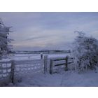 Dutch Christmas Carols - Wind Band