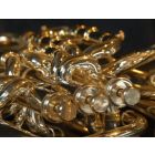 Eupholie - Wind Band