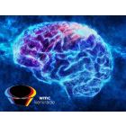 Frames of Mind - Fanfare Band