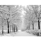 In the Bleak Midwinter - Fanfare Band