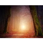 Of Fear and Quiet Hope - Wind Band