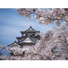 Precious… - Wind Band