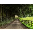 Trip down Memory Lane - Fanfare Band