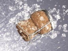 Champagner Galop - Fanfare Band