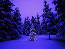 Christmas Snippets - Fanfare Band