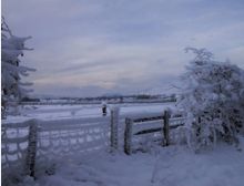 Dutch Christmas Carols - Fanfare Band