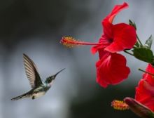 Have a Nice Day - Brass Band