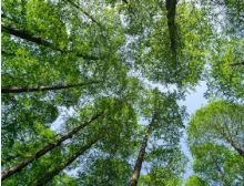 Highwood: Hark What a Sound - Fanfare Band