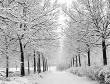 In the Bleak Midwinter - Ensemble