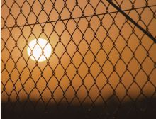 In the Cage - Fanfare Band