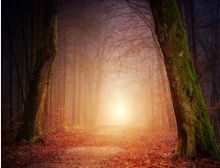 Of Fear and Quiet Hope - Wind Band