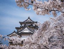 Precious… - Wind Band