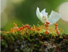 Teamspirit - Brass Band