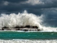 The Coast - Ensembles