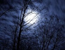 The Night of the Forrest - Wind Band