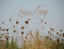 Variations on a French Folk Song - Ensemble