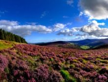 Wicklow Choral - Fanfare Band