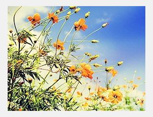 Au Printemps - Wind Band