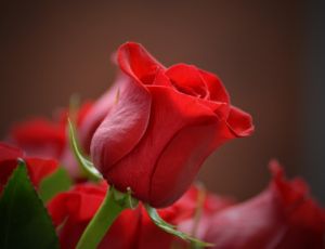 Concert Overture - Wind Band