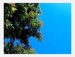 Deep Harmony - Wind Band