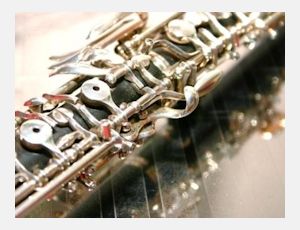 Divertimento for Oboe and Wind Orchestra Opus 9 - Wind Band