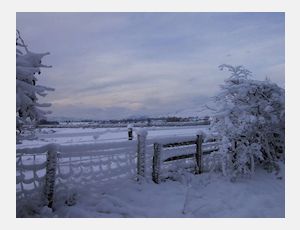 Dutch Christmas Carols - Wind Band