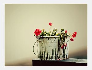 Flowers Swing - Fanfare Band