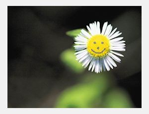 Forever Young Overture - Wind Band