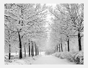 In the Bleak Midwinter - Wind Band