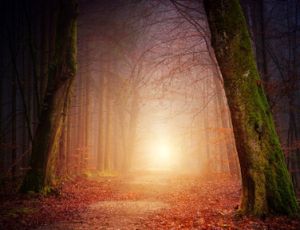 Of Fear and Quiet Hope - Wind Band